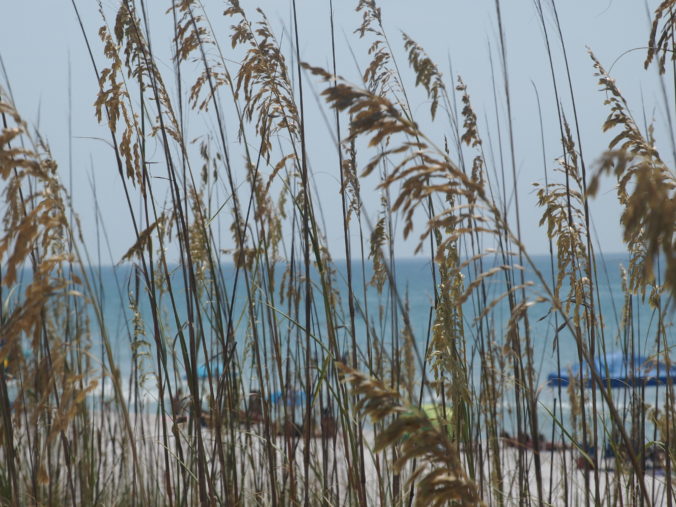 Image of Beach