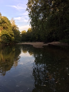 Image of Creek at the Sweet Retreat