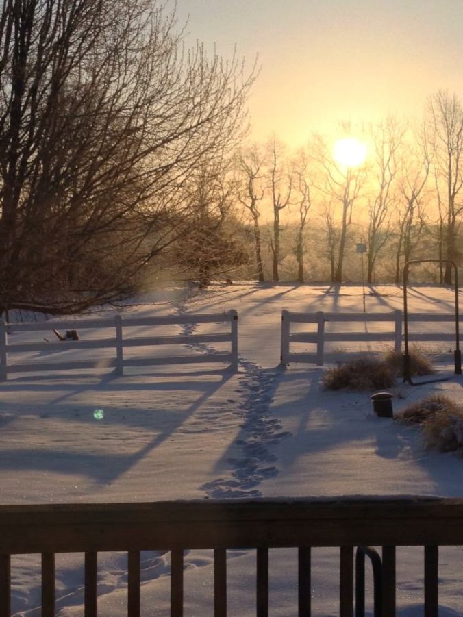 Image of Snowy Yard