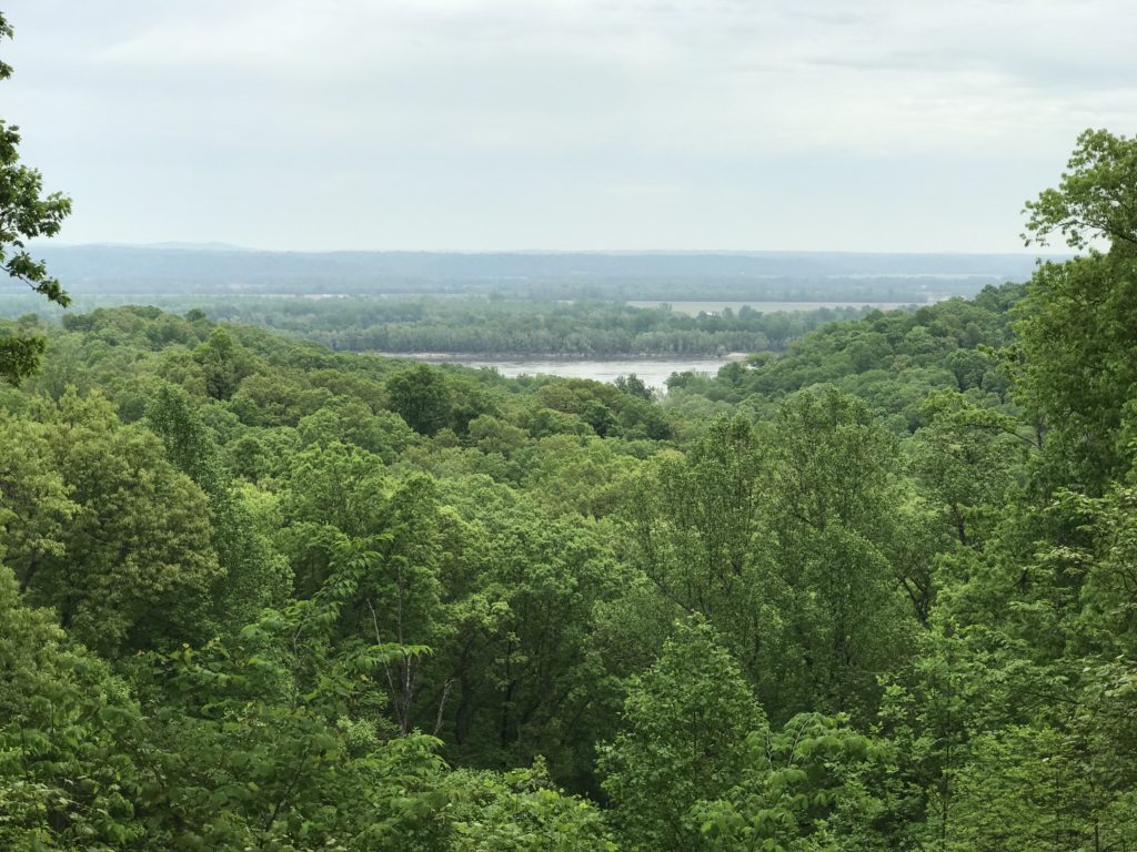 Image of River View