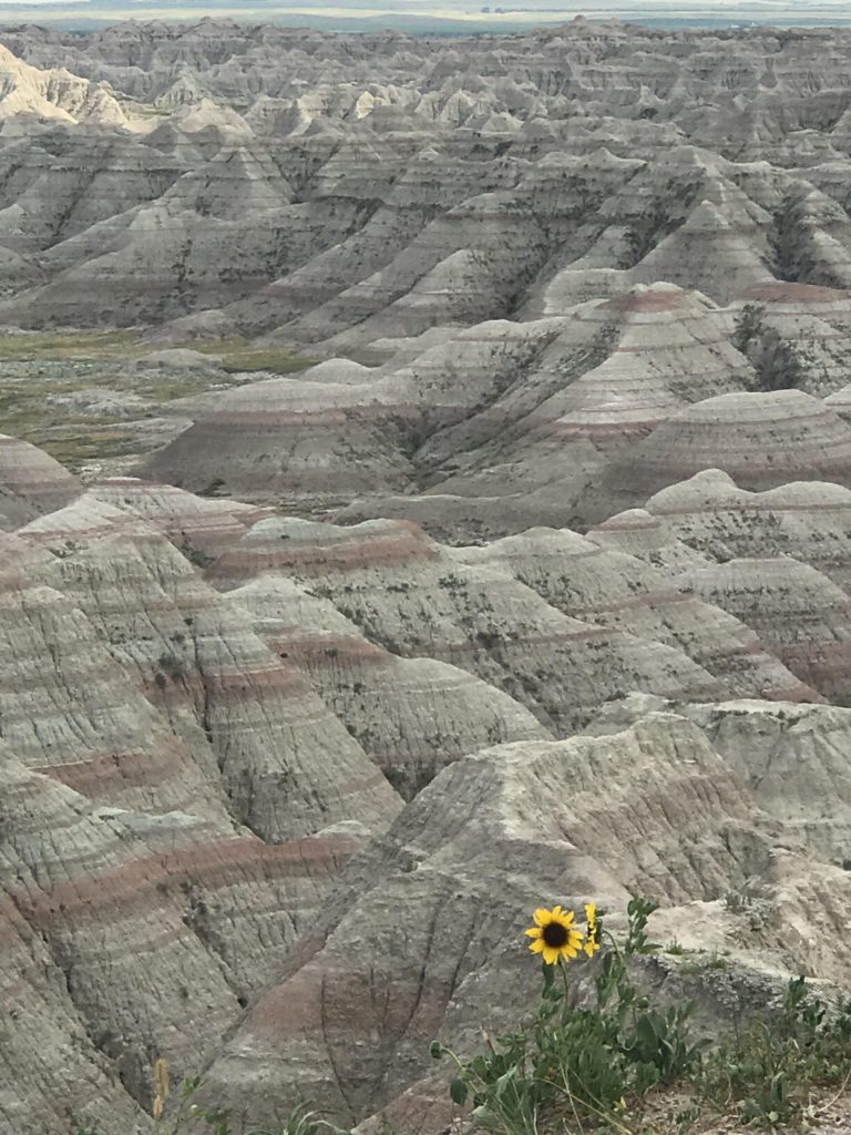 Image of Badlands, SD