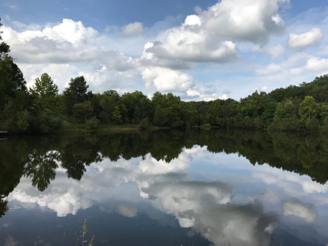 Image of Pond